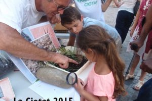 Villes en transition : l&rsquo;analyse de Rebecca d&rsquo;Alternatives Territoriales : image à la une