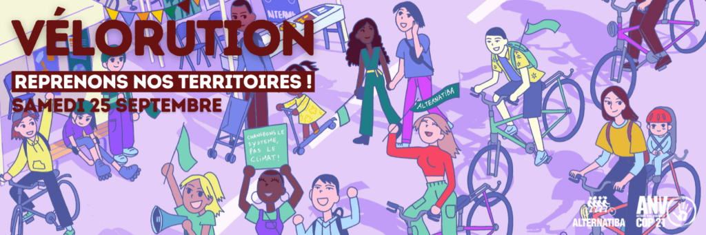 Illustration : Cécile Despretz